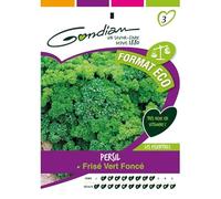 Gondian - Persil Frisé vert foncé