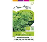 Gondian - persil frisé vert foncé bio