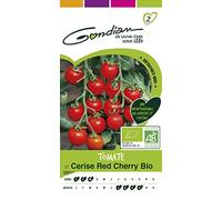 Gondian - Tomate Cerise Bio