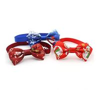 Gonetre ACCESSOIRES DE PET DE CHARI