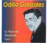 Gonzalez, Odilio - Lo Mejor Del Jibarito