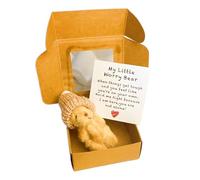 GONZTEL 1 pièce Petit Ours de Poche Câlin dans Une Boîte en Métal, Ours en Peluche,Ours de Poche Avec Carte Inspirante, Little Bear in Box pour Anniversaire Ami