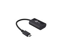 Goobay 38531 Adaptateur USB-C VGA, Noir
