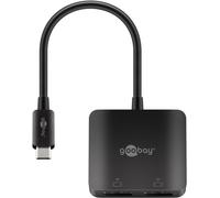 Goobay 60171 adaptateur graphique USB Noir