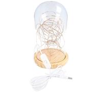 goobay 60340 Cloche en verre avec micro-chaîne lumineuse LED/lampe décorative/lumière chaude et apaisante/éclairage festif pour la décoration d'intérieur/bois véritable/avec interrupteur