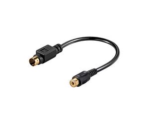 Goobay 60845 Câble Adaptateur Vidéo, S-Video vers Composite, 0.2m Longueur de Câble