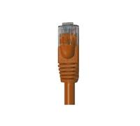 goobay - Cordon de raccordement - RJ-45 (M) pour RJ-45 (M) - 1 m - UTP - CAT 6 - moulé, plat - marron clair