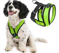 GOOBY Choke sans Confort x Souple Harnais pour Chien, Taille M, Vert