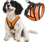Gooby Comfort X Head in Harness Harnais Anti-Traction, Structure en X brevetée sans étranglement, pour Chiens Moyens ou Petits, Utilisation en intérieur et en extérieur, Orange, M