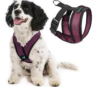 GOOBY Comfort X Head in Harness Harnais Anti-Traction, Structure en X brevetée sans étranglement, pour Chiens Moyens ou Petits, Utilisation en intérieur et en extérieur, Violet, M