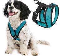 Gooby Comfort X Head in Harness Harnais Anti-Traction, Structure en X brevetée sans étranglement, pour Chiens Moyens ou Petits, Utilisation en intérieur et en extérieur, Turquoise, L