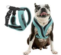 Gooby Comfort X One Harnais pour chien - Harnais tête dans la tête pour chiens de petite et moyenne taille, sans échappement et anti-étranglement, maille respirante, absorbant les chocs, boucles