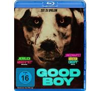 Good Boy (DVD)