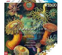 Good Loot Jigsaw Puzzle Imagination Series Ernst Haeckel Sea Anemones - Puzzles Classiques - Art de Puzzle avec Image 1000 pièces - Puzzles pour Adultes - Casse - tête Art 1000 pièces - 68,3x48 cm