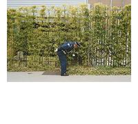 Good Luck and Do Your Best