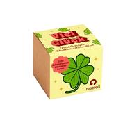 Good Luck Kit de culture en forme de trèfle à 4 feuilles pour faire pousser votre propre porte-bonheur à la maison Resetea
