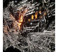 Good Tiger - The Most Negative Day of the Year