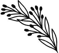 Good Vibes Dies Branche