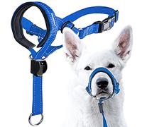 GoodBoy Licol rembourré pour chien avec sangle de sécurité - Empêche les chiens de petite, moyenne et grande taille - Guide de dressage inclus (taille 2, nylon bleu)