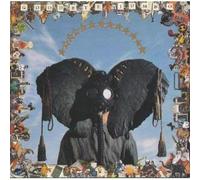 Goodbye Jumbo by World Party