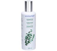 Goodsphere® Essence d'arôme d'eucalyptus - Huile essentielle pour diffuseurs 250 ml