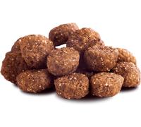 Goodstuff 12,5kg cheval adulte