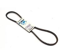 Goodyear 17456 Courroie d'entraînement pour accessoires