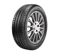 Goodyear EfficientGrip Performance 2 ( 225/45 R17 91W , EVR )