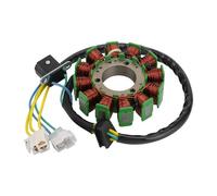 GOOFIT 12 Pôles Bobine Moto Allumage Bobine Stator Magnéto Accessoires Moteur Générateur Remplacement pour GT250 GV250 2002-2010