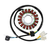 GOOFIT 18 Bobine Moto Magnéto Stator Bobine Générateur d’allumage Accessoires moteur Remplacement pour GN250