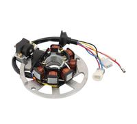 GOOFIT 6 bobines Moto magnéto magnéto stator Bobine générateur d’allumage Accessoires Moteur Remplacement pour esterator Completo bws100 axe 100