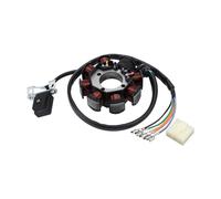 GOOFIT 8 Bobines 5 Lignes Générateur d'allumage Bobine stator magnétique Remplacement pour 125cc 150cc 250CC Quad Kart TaoTao ATV Quad