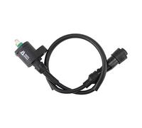 GOOFIT Bobine d'allumage Remplacement pour CF250cc CH250cc ATV Go Kart Dirt Bike