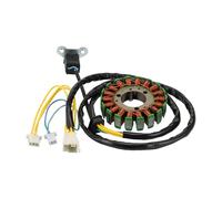 GOOFIT Bobine d'Allumage Stator Magnéto 12 Spires 10 Fils Remplacement pour LM12W-T GTS200 LM18W-6 LN12W2-6 125LN12W4-6 GTS125 LM12W1-7