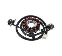GOOFIT Bobine de stator de générateur de Moto 12 pôles de Rechange pour CRF450R CRF 450R 2009