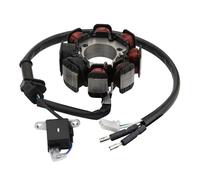 GOOFIT Bobine De Stator De Moto Remplacement pour TRX250 FourTrax 250K2x4 1987-1988 31120HC0-000 31120-HC0-004 31120-HC0-014