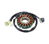 GOOFIT Bobine De Stator Magnétique Remplacement pour YFM250 Bear Tracker Big Bear Bruin YFM 660 660R Raptor 2001-2009 YFM25B Bruin 250 2005-2006