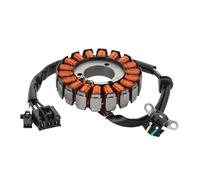 GOOFIT Bobine Stator Magnéto Générateur pour Moto - Replacement for Z300 Z250 250R 21003-0128 ER250 Z250 2013-2014 ER300 Z300 ABS 2015-2018 EX250