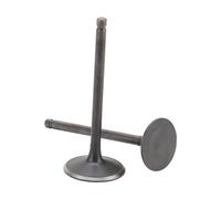 GOOFIT Pit Bike Vanne de vidange et soupape d'admission Remplacement pour moto wassergekühlt 250 cc cf250cc ATV Go Kart Moto Scooter