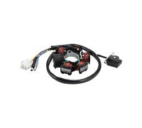 GOOFIT Stator Magnéto Générateur GY6 6 Bobines 5 Fils Remplacement pour 50cc 70cc 90cc 110cc 125cc ATV Chinois Dirt Bikes Pit Bikes Scooters Go Kart Dune Buggy Pocket Dirt Bike