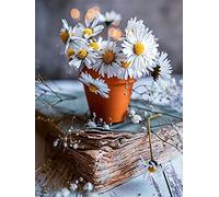 Goofong 5D DIY Diamond Painting Marguerite Pot De Fleur Complet Kit, Broderie Peinture Diamant Plante Fleur Point De Croix Diamant Arts Strass Craft Pour Home Décoration Murale 30x40 cm