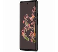 Google Pixel 6 128 Go Noir tourmente