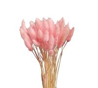 GOOHOCHY 20 Pièces queues de Lapin Fleurs séchées décoration d'intérieur Mariage décor Floral Ornement Plantes artificielles Accessoires Photo Ménage décorations Fleur préservée décorer