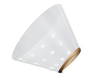 GOOHOCHY Collier Conique de Convalescence pour Chat en Plastique Doré, Protège Le Cou et Empêche Les Morsures, pour Soins Post-opératoires et Toilettage
