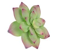 GOOHOCHY Décoration Murale Métal Forme De Fleurs Artisanat Élégant Pour Intérieur Et Extérieur Décor Accroché De Plantes Succulentes