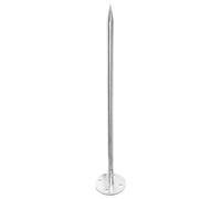 GOOHOCHY Paratonnerres pour toiture, accessoire de toit en acier inoxydable, protection paratonnerre, installation facile, pour toit de villa en extérieur, apparence moderne