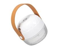 GOOHOCHY Tondeuse Électrique Anti-Peluches Rechargeable USB Rasoir à Charpie Mini Portable Blanc Lame Brosse Anti-Peluche pour Vêtements Pulls et Tissus Appareil Électrique Éliminateur