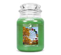 Goose Creek Candle® Carnival Vibes Bougie à 2 mèches 680 g