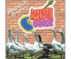 Goose Creek Symphony - Acoustic Goose