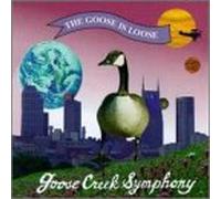 Goose Creek Symphony - Goose is Loose